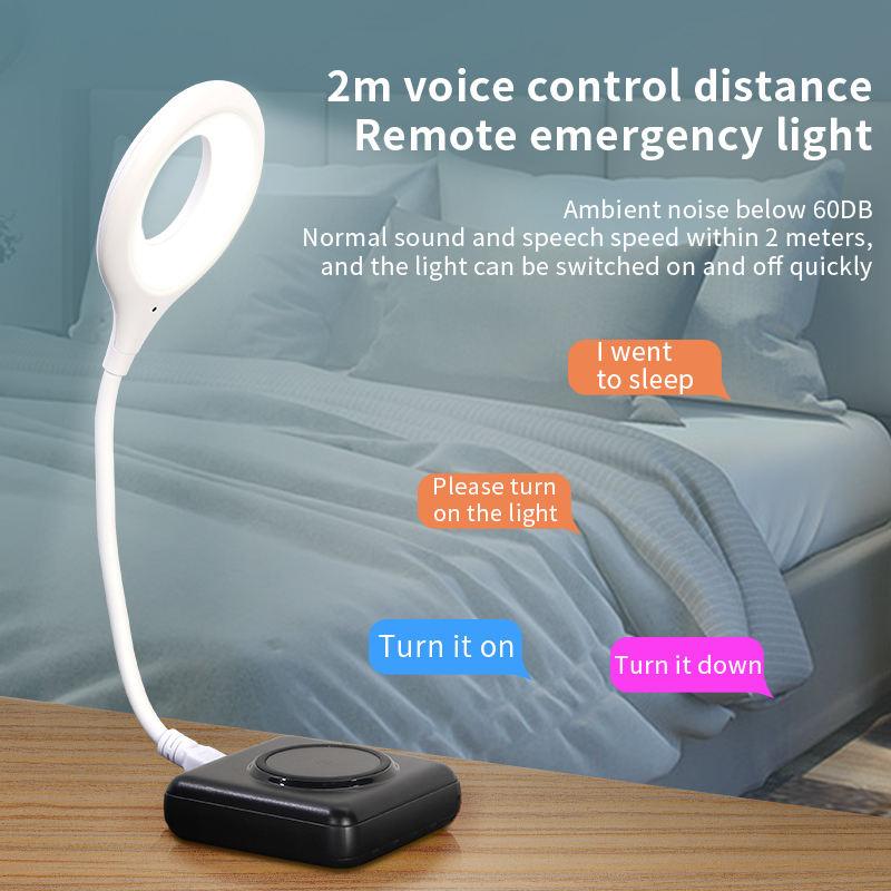 Smart Voice Control USB Light - Mirage Mall